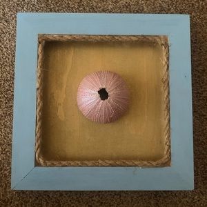 Sea urchin wall art